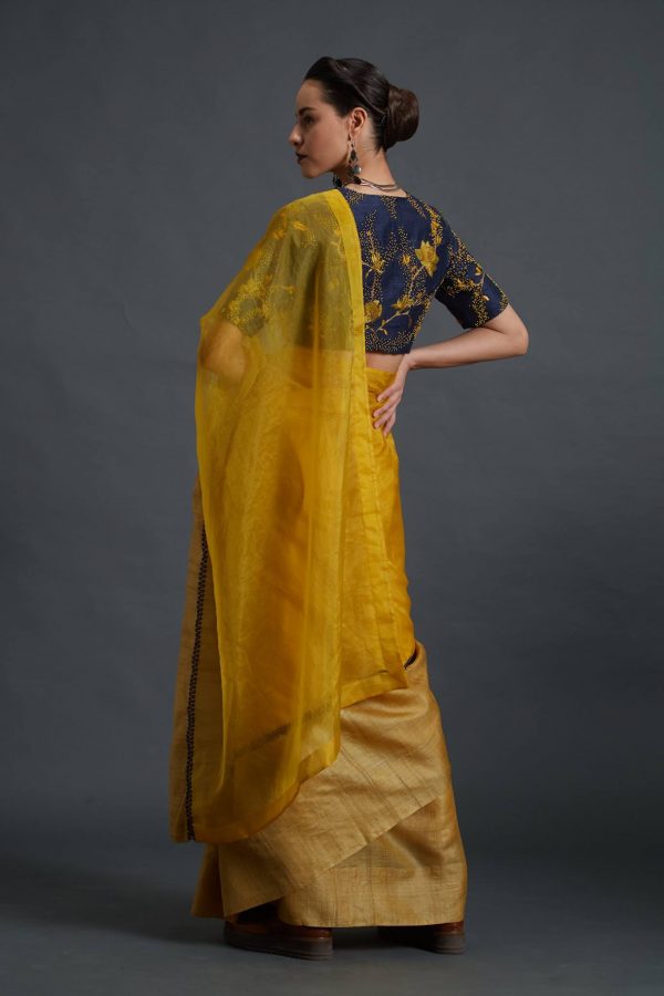 Sheer Organza Sari